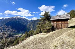 Gewerbeimmobilie kaufen in 6541 Tösens, Naturparadies mit Potenzial – ca. 6000 m² Bergwiese/Freiland & Feldstadl für Ihre Landwirtschaft