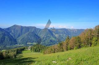 Gewerbeimmobilie kaufen in 4645 Grünau im Almtal, Vielseitiges Tourismusobjekt - Einmaliges Anwesen auf 1200 m im Almtal