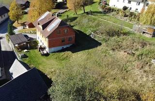 Einfamilienhaus kaufen in 2852 Harmannsdorf, Liegenschaft mit großem Grund in 2852 Harmannsdorf