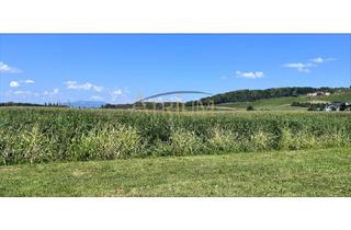 Haus kaufen in 8271 Bad Waltersdorf, Wohnen wie im Paradies - Luxuriöse Einfamilienhäuser in der Thermen Region Bad Waltersdorf.