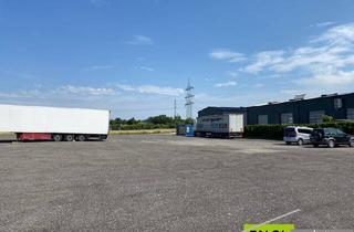 Immobilie mieten in 2333 Leopoldsdorf, bis zu 600m² Abstellfläche oder Stellplätze für LKW oder Bus mit geräumiger Umkehrmöglichkeit zur Vermietung "Super Lage" Nähe zur Autobahnauffahrt S1