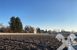 Grundstück zu kaufen in 8490 Bad Radkersburg, ca. 6500 m² Baugrund in Bad Radkersburg - Goritz
