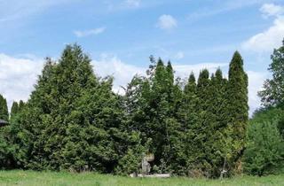 Grundstück zu kaufen in 9232 Sankt Martin, K3 - Baugrundstück mit Wald in Rosegg