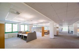 Büro zu mieten in Erzherzog-Karl-Straße, 1220 Wien, Großraumbüro