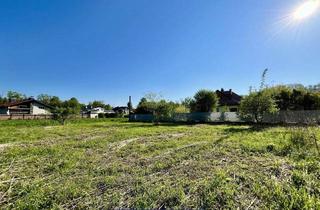 Grundstück zu kaufen in Kirchfeldstraße, 4600 Thalheim bei Wels, Stadtnahe Ruheoase - Baugrundstück ohne Bauzwang in Thalheim bei Wels