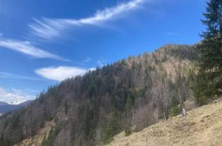Immobilie kaufen in 6215 Steinberg am Rofan, Waldgrundstück in Steinberg am Rofan zu verkaufen