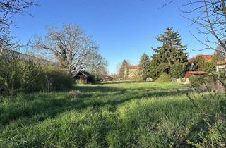 Grundstück zu kaufen in 2100 Korneuburg, Rarität: großer Bauträgergrund in Korneuburger Bestlage!