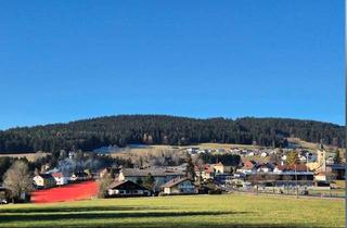 Grundstück zu kaufen in Sandl Ort, 4251 Sandl, Neubaugebiet! Leistbare Baugründe in ortszentraler Lage ohne Maklergebühr!