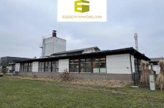 Gewerbeimmobilie kaufen in 6890 Lustenau, GERÄUMIGE PRODUKTIONS- UND LAGERHALLE FÜR IHR UNTERNEHMEN