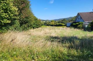 Grundstück zu kaufen in 3443 Rappoltenkirchen, PREISREDUKTION!!! SCHÖNER BAUGRUND 3 WOHNEINHEITEN MÖGLICH