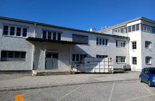 Büro zu mieten in 5020 Salzburg, Miete bis Herbst 26: günstige Lager+ Büroflächen in BO Nähe Messezentrum Sbg.