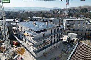 Wohnung kaufen in 3441 Pixendorf, Grüne Oase: Geräumige 2-Zimmer-Wohnung mit Eigengarten in idyllischer Lage! FLORIANI – Quartier am Tullnerfeld