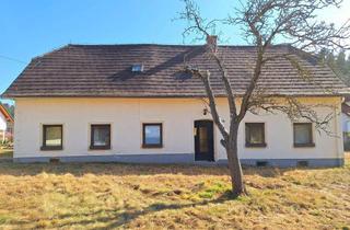 Haus kaufen in 8242 Sankt Lorenzen am Wechsel, ZWEI WOHNHÄUSER MIT CHARME UND POTENZIAL IN ST. LORENZEN AM WECHSEL