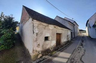 Immobilie kaufen in 2170 Poysdorf, Presshaus mit Kellerröhre