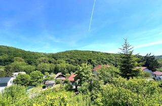 Grundstück zu kaufen in 3001 Mauerbach, WOHNEN IM GRÜNEN - SONNIGES GRUNDSTÜCK AM RANDE DES WIENERWALDES!