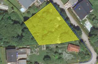 Grundstück zu kaufen in 4400 Steyr, Baugrund ohne Bauzwang in guter Wohnlage