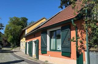 Immobilie kaufen in 3471 Großriedenthal, Weinkeller in idyllischer Kellergasse