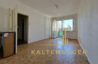 Wohnung kaufen in Billrothstraße, 1190 Wien, TOP-Lage mit optimaler Infrastruktur: Charmante Sanierungswohnung!