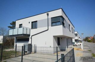 Einfamilienhaus kaufen in 2542 Kottingbrunn, Moderne DOPPELHAUS-HÄLFTEN im Alleineigentum mit Keller in ziegelmassiv Bauweise