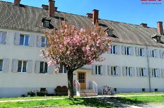 Wohnung mieten in Reichensteinstraße 19, 8793 Trofaiach, Modernisierte und preiswerte 3-Zimmerwohnung!
