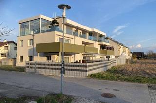 Wohnung kaufen in 4614 Marchtrenk, Family-Feeling trifft Wohnkomfort! Neuwertig, modern, familienfreundliche Gartenwohnung mit Pool zum Verlieben!