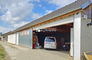 Gewerbeimmobilie kaufen in 2424 Zurndorf, Neuwertige Gewerbehalle plus 350 m² Bauland in Zurndorf für 250.000 € – Ihr neuer Standort!