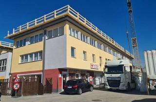 Wohnung mieten in 4664 Laakirchen, Dachgeschoss neu gedacht - 12 moderne Wohnungen in Oberweis