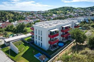 Wohnung mieten in 7222 Rohrbach bei Mattersburg, Wohnung in Rohrbach