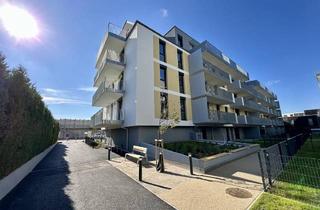 Wohnung mieten in Pfalzgasse, 1220 Wien, 2 Dachterrassen & 2 Monate mietfrei – 3-Zimmer-DG-Wohnung mit Kühlung