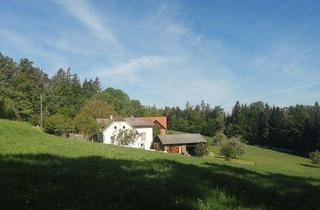 Haus kaufen in Stubenberg/Pöllauberg, 8225 Pöllau, Alleinlage für Naturliebhaber