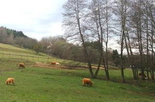 Grundstück zu kaufen in Neustift Bei Güssing, 7540 Güssing, Reitsportgelände in Ruhelage
