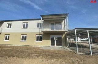 Wohnung mieten in 8402 Werndorf, Neubau Mietwohnung in Werndorf - Sonnige, ruhige Lage