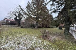 Einfamilienhaus kaufen in 2326 Lanzendorf, Großzügiges Eckgrundstück mit Altbestand in Lanzendorf zu verkaufen!