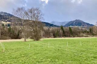 Grundstück zu kaufen in 6820 Gurtis, Nenzing Heimat: 600 m2 Sonnentraum mit Weitblick – Ihr Baugrundstück in Nenzing mit unverbaubarer Aussicht