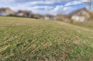 Grundstück zu kaufen in 4175 Herzogsdorf, Sonniges Grundstück in Top Lage verfügbar