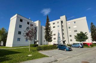 Wohnung mieten in Talwegsiedlung, 8580 Köflach, XL-Familienwohnung, Küche, 4 Zimmer im Hochparterre, Balkon und Lift