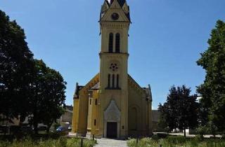 Grundstück zu kaufen in 7122 Gols, Wunderbares Baugrundstück, bis zu 3 Wohneinheiten möglich.