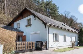 Haus kaufen in 2564 Weissenbach an der Triesting, Eigentum mit viel Potenzial - freie Gestaltung - fairer Preis