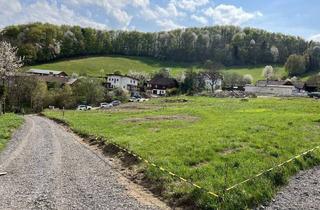 Grundstück zu kaufen in 2533 Klausen-Leopoldsdorf, NATUR. RUHE. LEBENSQUALITÄT. - HERRLICHES GRUNDSTÜCK MITTEN IM WIENERWALD ZU KAUFEN!