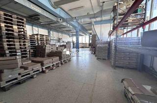 Büro zu mieten in 5161 Elixhausen, Attraktives (Gewerbe-)Lager mit Lastenlift, Büro und Parkplätze