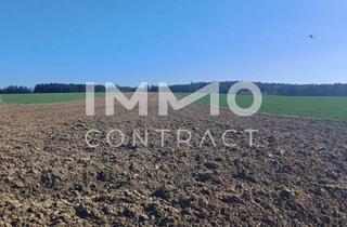 Immobilie kaufen in 3910 Ratschenhof, Landwirtschaftliche Ackerfläche 1,98 ha in Waldviertel