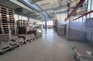 Lager mieten in 5161 Elixhausen, Attraktives (Gewerbe-)Lager mit Lastenlift, Büro und Parkplätze