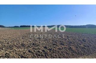 Gewerbeimmobilie kaufen in 3910 Oberstrahlbach, Landwirtschaftliche Ackerfläche 1,98 ha in Waldviertel