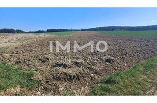 Gewerbeimmobilie kaufen in 3910 Oberstrahlbach, Landwirtschaftliche Ackerfläche 1,98 ha in Waldviertel - Raum Zwettl