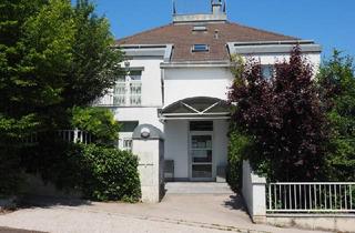 Haus mieten in 2551 Enzesfeld-Lindabrunn, FIRMENSITZ / OFFICE & HOME - traumhafte Villa und luxuriöses Zuhause, 11 Zimmer, großzügiger Garten, 5 KFZ-Stellplätze
