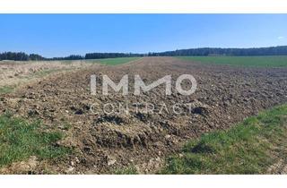 Grundstück zu kaufen in Ratschenhof, 3910 Oberstrahlbach, Landwirtschaftliche Ackerfläche 1,98 ha in Waldviertel - Raum Zwettl