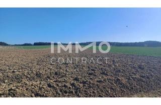 Agrarfläche kaufen in Ratschenhof, 3910 Oberstrahlbach, Landwirtschaftliche Ackerfläche 1,98 ha in Waldviertel