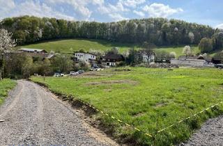 Grundstück zu kaufen in 2533 Klausen-Leopoldsdorf, NATUR. RUHE. LEBENSQUALITÄT. - HERRLICHES GRUNDSTÜCK MITTEN IM WIENERWALD ZU KAUFEN!