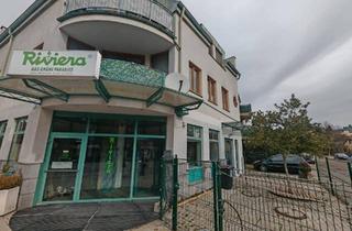 Gewerbeimmobilie kaufen in Hauptstraße 66, 3001 Mauerbach, Wunderschöne Gewerbeimmobilie in Mauerbach