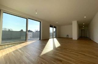 Wohnung kaufen in Ramsauerstraße, 4020 Linz, Dachterrassenwohnung mit großzügigem Wohnbereich und Small Office